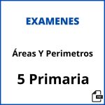 Examen Áreas Y Perimetros 5 Primaria Pdf