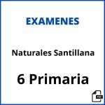 Examen Naturales 6 Primaria Santillana