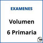 Examen Volumen 6 Primaria Pdf