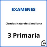 Examenes Ciencias Naturales 3 Primaria Santillana Pdf