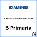 Examenes Ciencias Naturales 5 Primaria Santillana Pdf